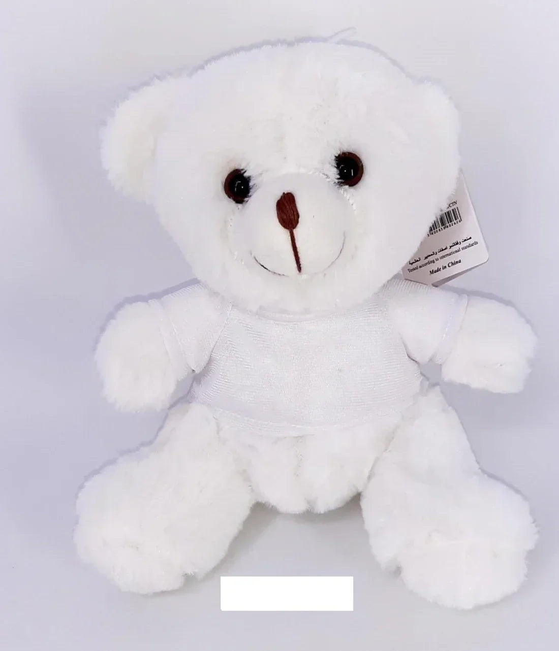 Teddy Bear in Shirt